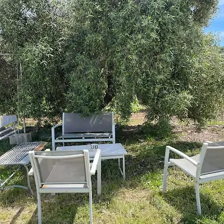 Glamping Olive Tent In Our Garden Sardinia Tente de luxe