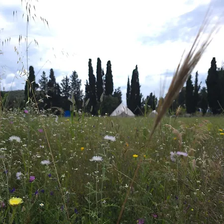 Glamping Olive Tent In Our Garden Sardinia Tente de luxe Capitana
