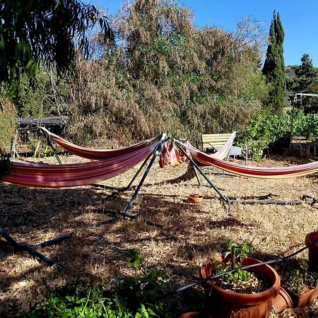 In Our Garden Sardinia - Grano Glamping Tent Capitana