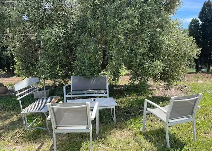 Glamping Olive Tent In Our Garden Sardinia Glamping