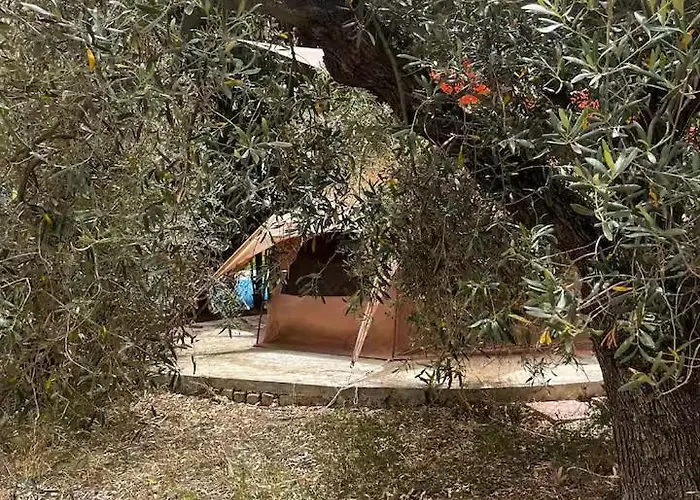 Glamping Olive Tent In Our Garden Sardinia