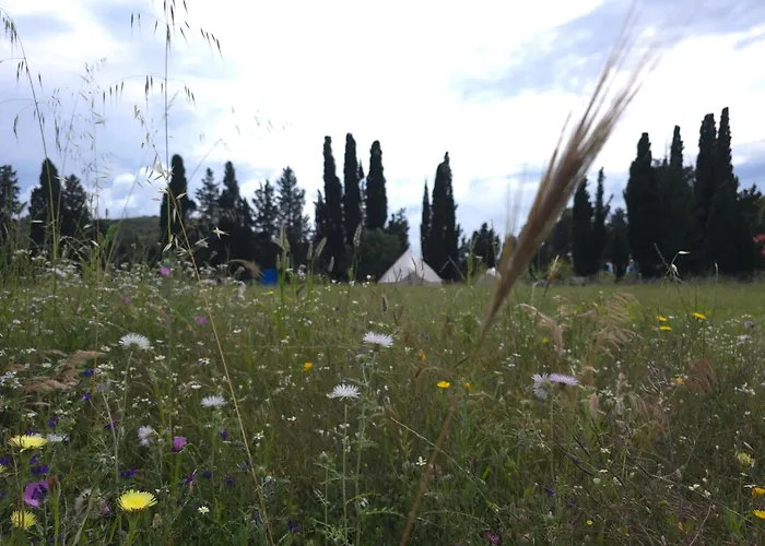 Glamping Olive Tent In Our Garden Sardinia Glamping Capitana